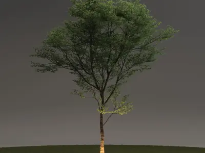 Viabizzuno Soleluna by Mario Nanni 3D model