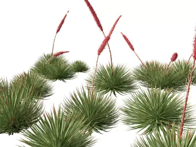 Tropical Architectural Foliage Pack 51 3D model