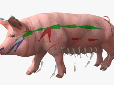 Pig Sow Landrace Animated Rigged for Blender 