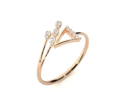 Ring - 106 3D print model