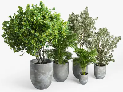 Concrete set tree in pot 3D model