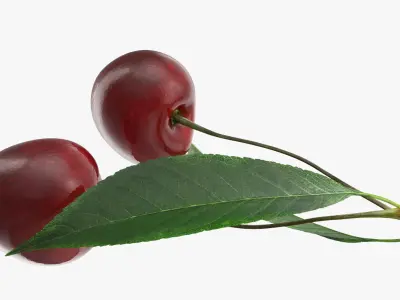  Cherry Collection 