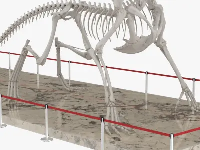  Dragon Skeleton Exhibit with Stanchion Belt Barriers 