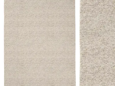 BHARATI WOOL RUG 3D model