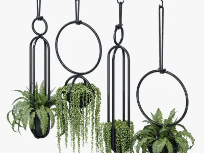 Blumen set of hanging planters 3D model