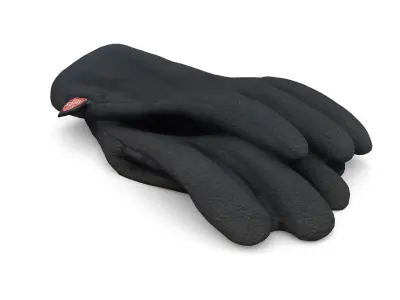 Gloves pair of 3D model