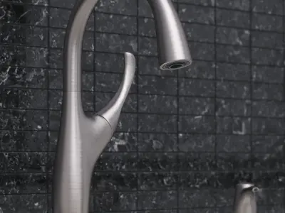 Kitchen faucet and sink KOHLER 3D model