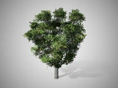 Apple Tree Free low-poly 3D model