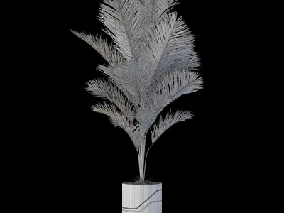 Plants collection 874 3D model