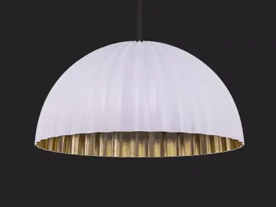 DAWSON BONE  3D model