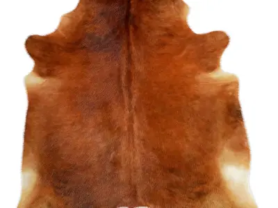 Medium Brindle Cowhide 3D model