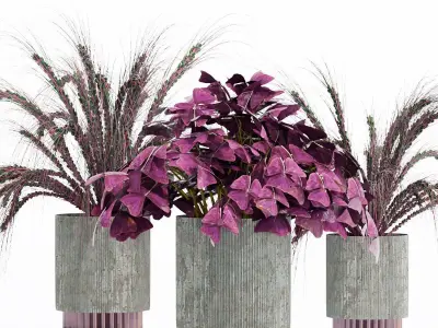 INDOOR PLANT SET 05 3D model