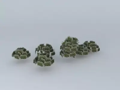 Trees street Andes Free 3D model