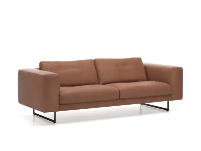 DS 748 53 2 Seater Sofa 3D model