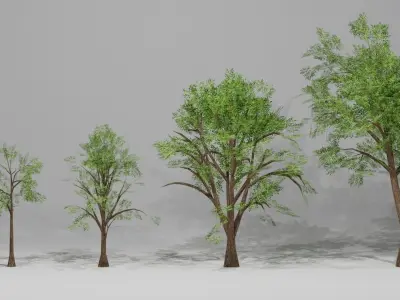 Trees group of in grass Low-poly 3D model