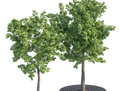 Croso circles grille 3D model