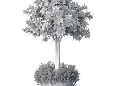 Decorative tall garden tree shrub flowerbed in floorvase  3D model