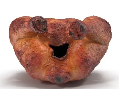  Roasted Turkey 3D Model 