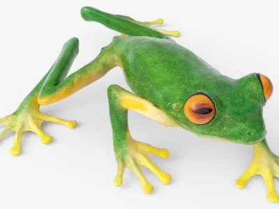  Walking Tree Frog Animated Rigged for Blender 