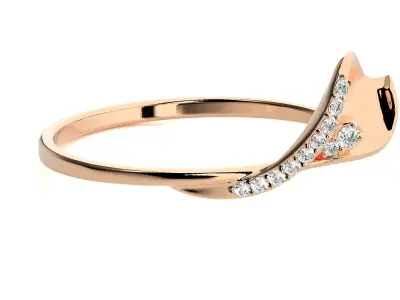 Ring - 11 3D print model