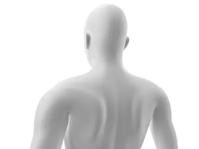  Rigged Human Hybrid Neutral Model 