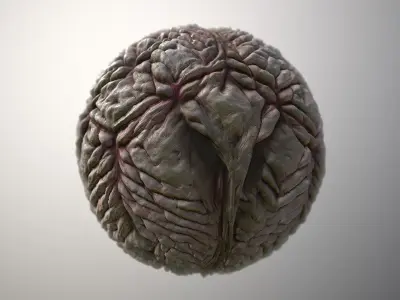 Material Skin Monster 19 Seamless PBR Texture Texture