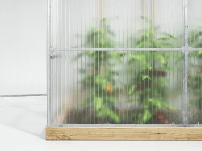 Greenhouse plant hanging 3D model