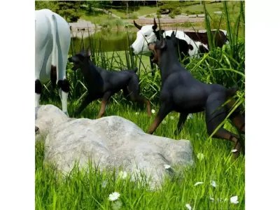 Outdoor Countryside 3D model