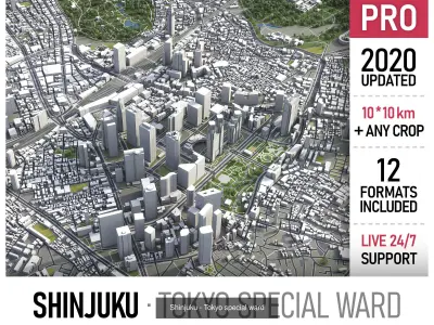 Tokyo Metropolis 3D Model Pack