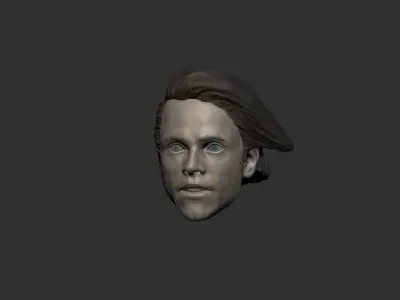 Figure Head custom 3 3D print model