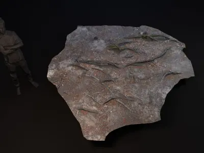 Beech forest ground - 6 of 6 - scan PBR Game ready Low-poly 3D model