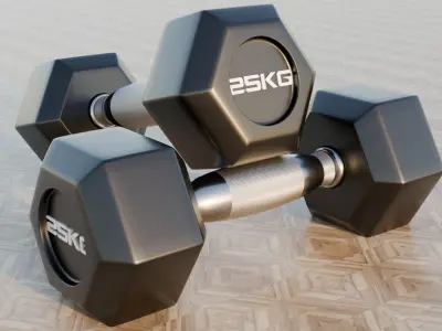 Dumbells 5-30KG  3D model