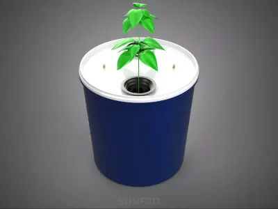 HYDROPONIC VEGETABLES FRUITS DUAL DUTCH BUCKET CHAMBER PLANT DIY 3D model