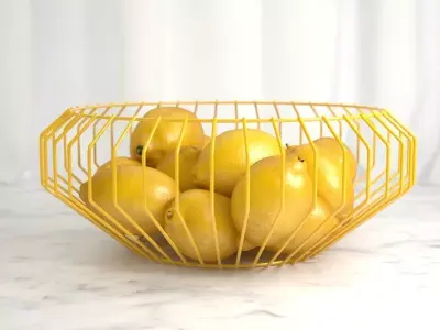 Cape Wire Bowls 3D model