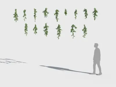  Climbing Plants Collection (+GrowFX) 