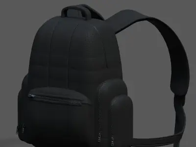 Backpack bag baggage Color 3d low poly Low-poly Low-poly 3D model