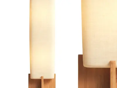 Toro Wood Floor Lamp with Woven Shade 3D model