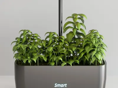 PLANTS IN DIGITAL VASE NO4 A 3D model