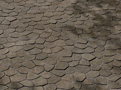 Stone Paving 12 - Seamless Texture
