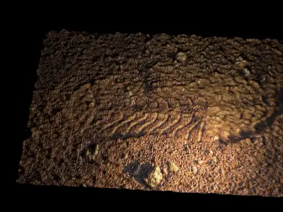 Astronauts Footprint On Mars 3D model
