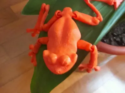 Linda ranita flexible articulada tiempo limitado Free 3D print model