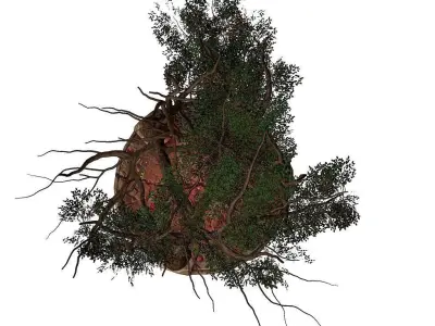 PBR Tree and Stone Low-poly 3D model