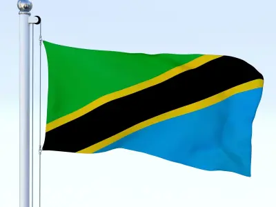 Animated Tanzania Flag Low-poly 3D model