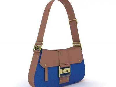 Dior Street Chic Bag Brown Jeans 3D model