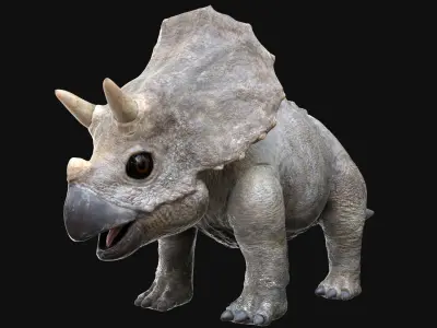  TriceratopsBaby 3D Rigged 