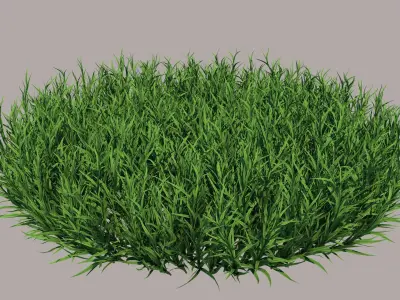 Fine Fescues 3D model