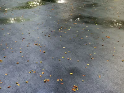 Wet asphalt with leaves 3D model