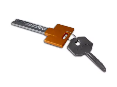 Home Keys With Key Chain Free 3D model