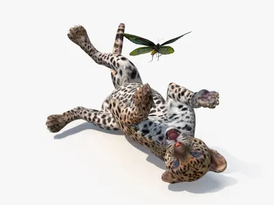  Playful Leopard Cub with Butterfly 