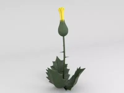 plant Low-poly 3D model get